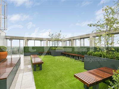 ROOF GARDEN